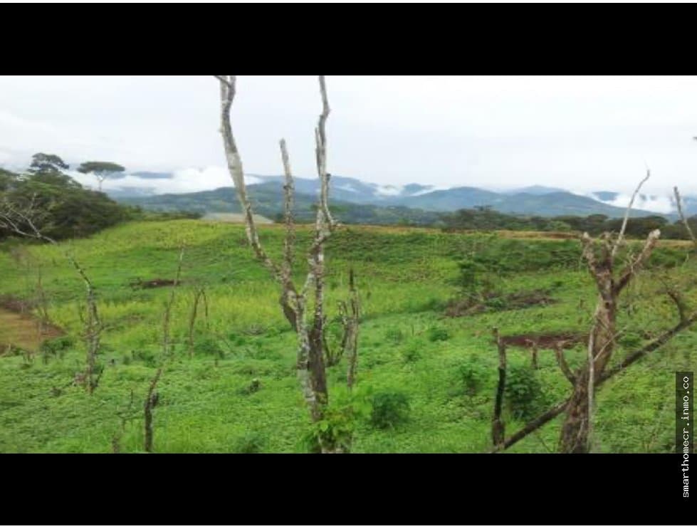 Se vende finca en san isidro del general, pedregroso